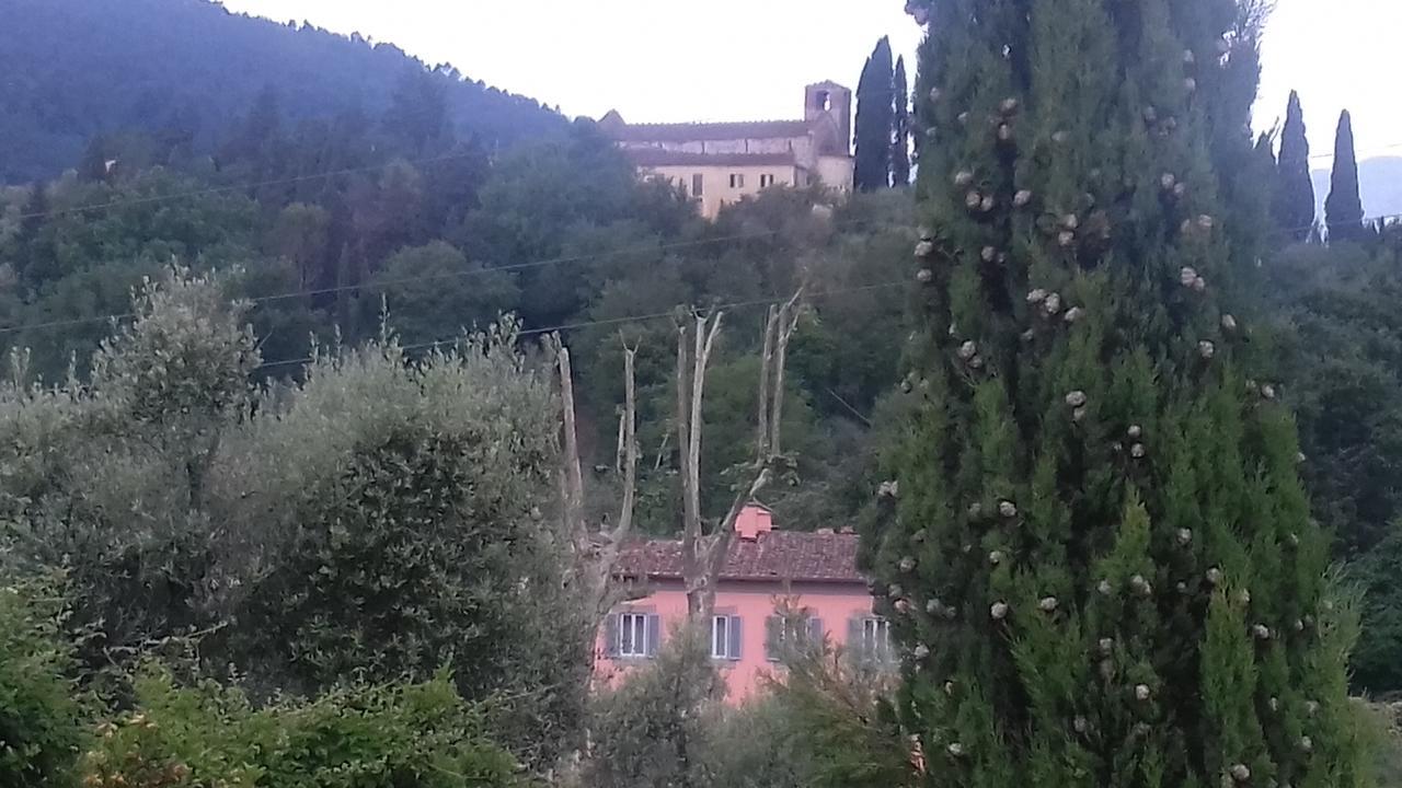Villa Agnolaccio Residenza D'Epoca ピストイア エクステリア 写真